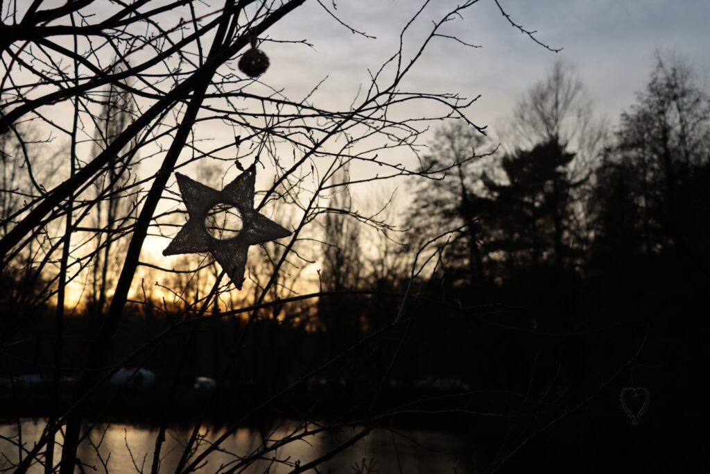 Weihnachtsdeko bei Sonnenuntergang Adventsmarkt Barmstedt