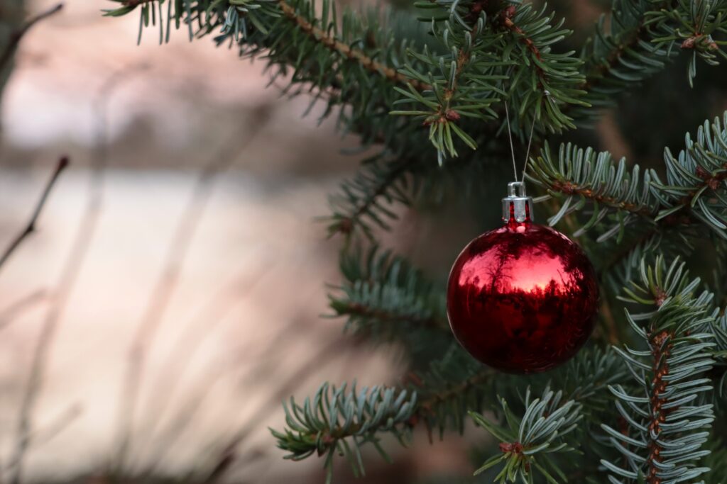 Weihnachtsbaumkugel am See