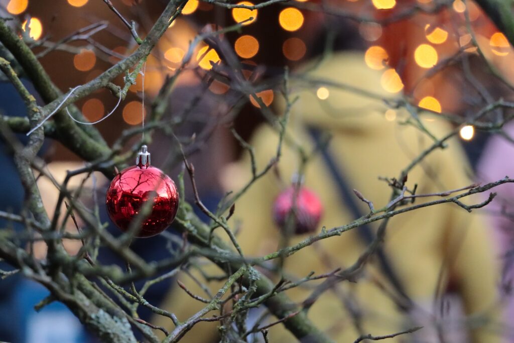 Christbaumkugel rot draußen