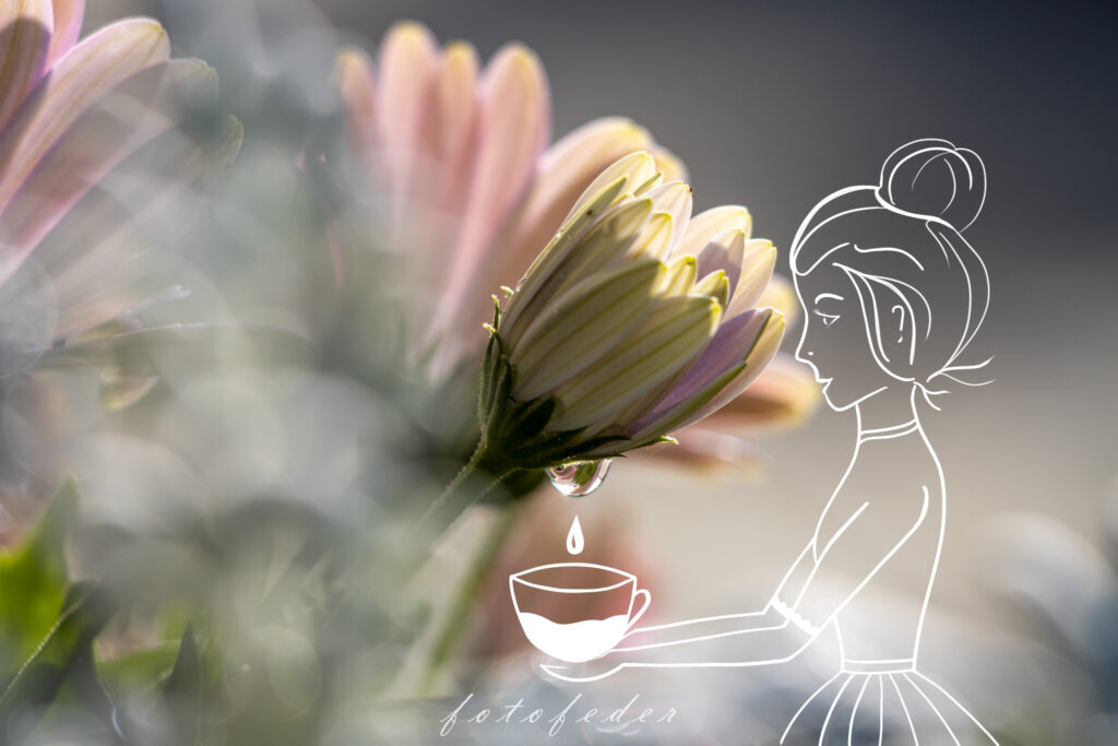 Mädchen füllt eine Tasse aus einem Tropfen, der von einer Blume tropft