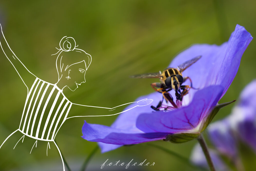 Blume mit Biene, daneben ein tanzendes Mädchen