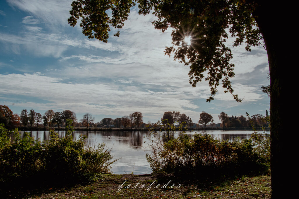 Barmstedter See - Sonnenstern scheint durch die Baumkrone