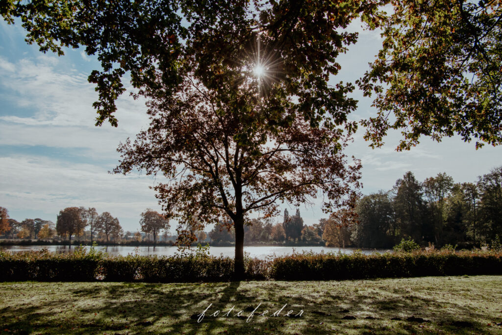 Natur - Schlossinsel Barmstedt - Sonnenstern scheint durch eine Baumkrone