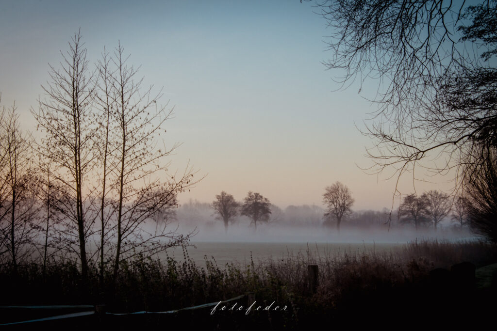 Schweigsam - Landschaft im Nebel