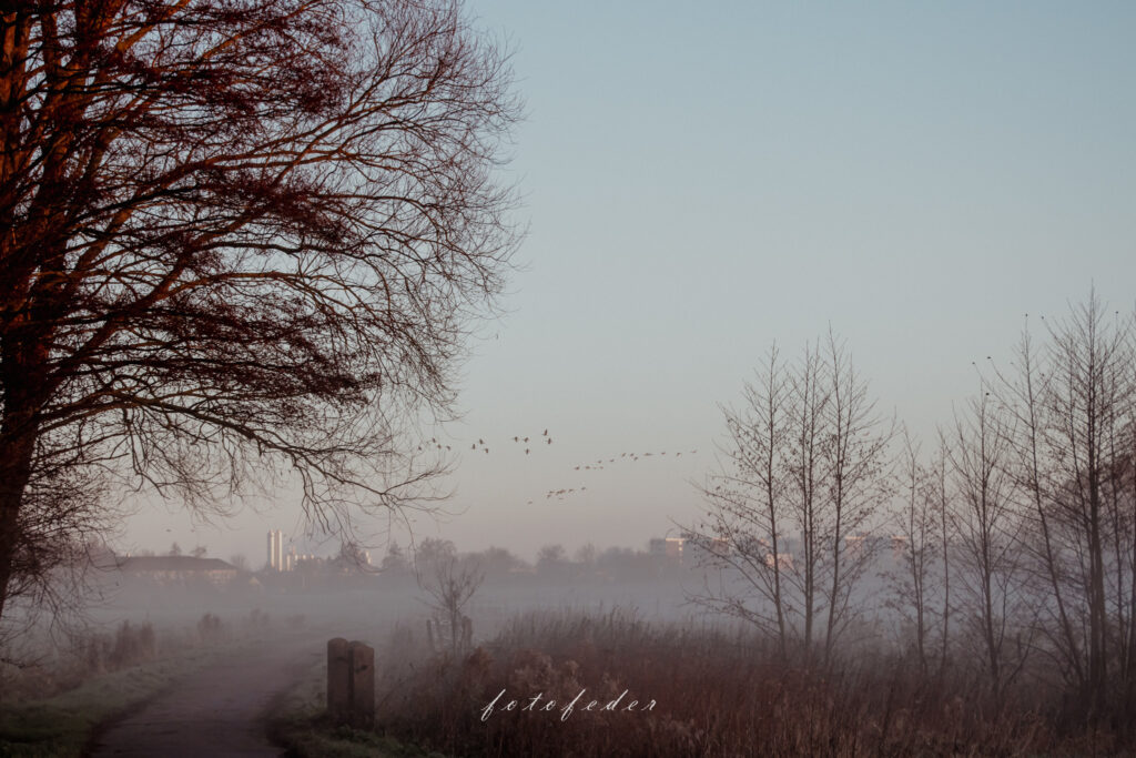 Schweigsam - Landschaft im Nebel 2
