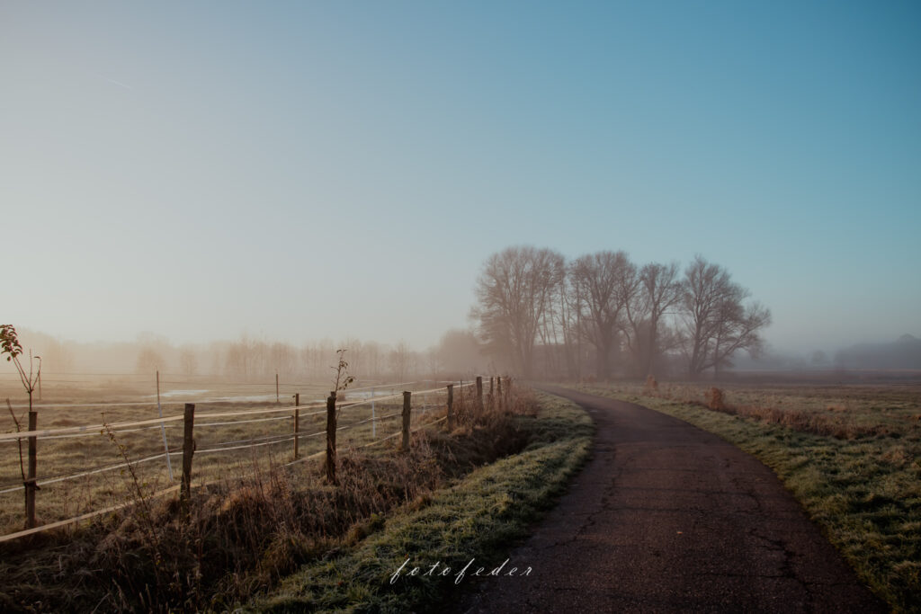 Schweigsam - Landschaft im Nebel nach Sonnenaufgang. Blauer Himmel