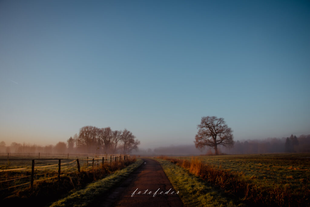 Schweigsam - Landschaft im Nebel nach Sonnenaufgang. Blauer Himmel