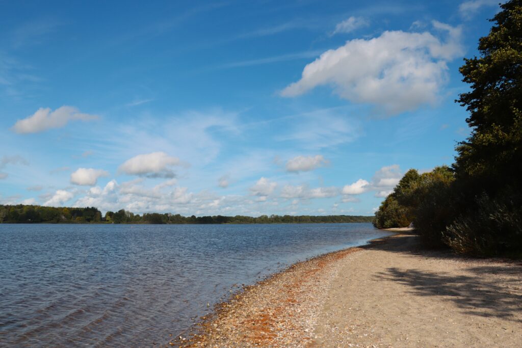 Strand des Einfelder Sees