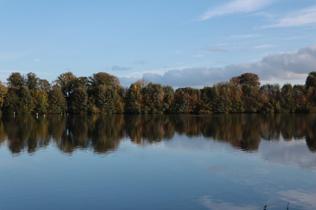 Rantzauer See reflektiert Himmel und Bäume