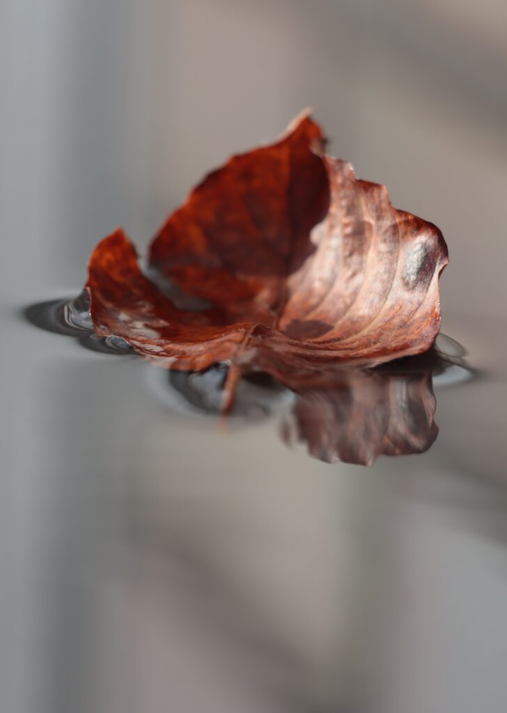 Herbstblatt mit Reflexion im Wasser