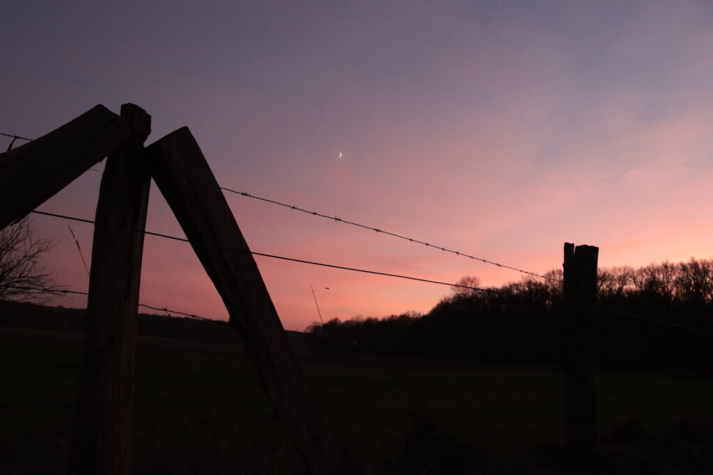 Zaun mit Stacheldraht vor dem Sonnenuntergang