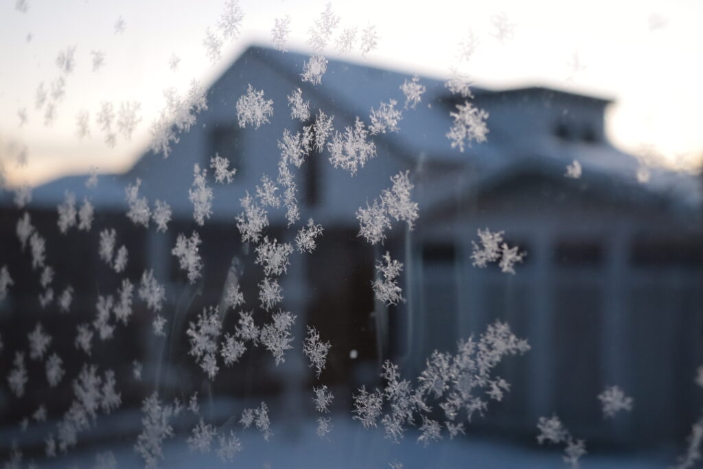 Frostblumen am Fenster