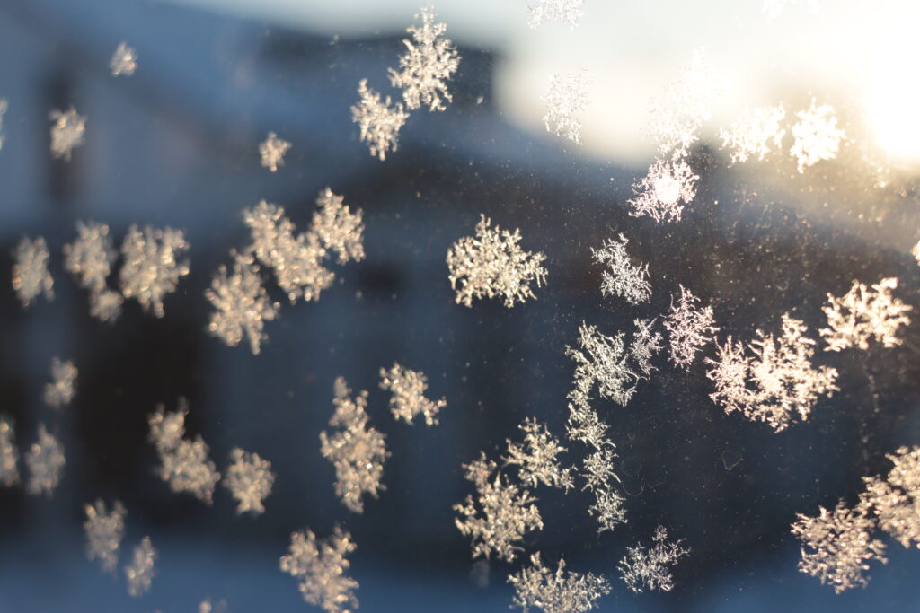 Frostblumen auf einer Fensterscheibe