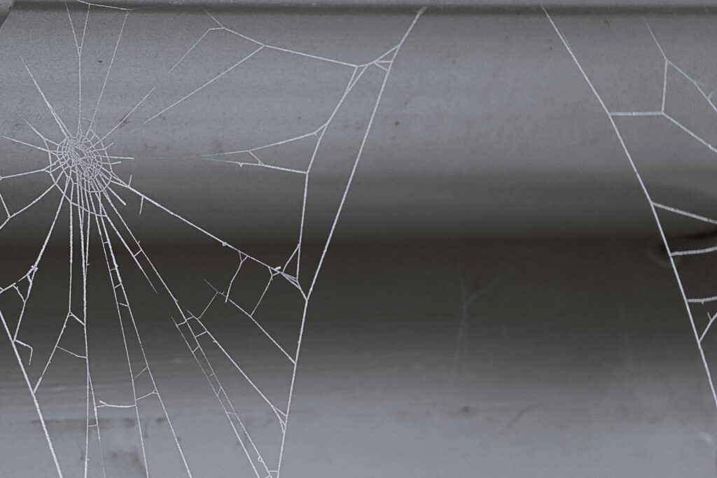 Spinnennetz vom Frost bedeckt