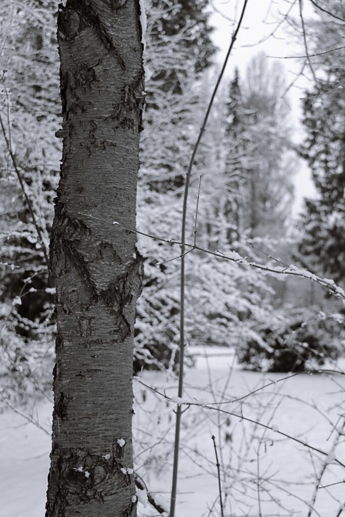 Winterlandschaft