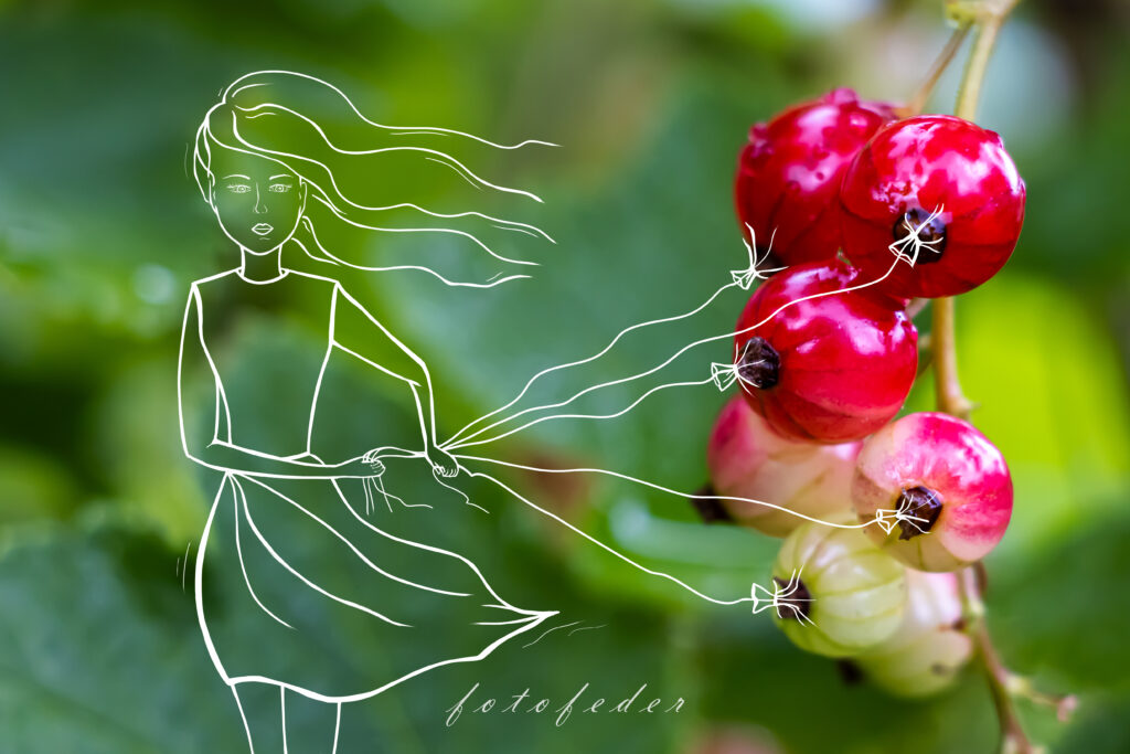 Mädchen hält Ballons aus roten Johannisbeeren in der Hand