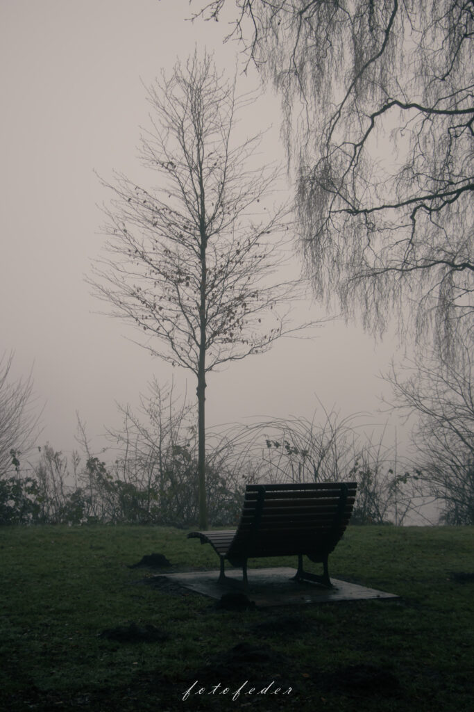 Bank am See im Nebel
