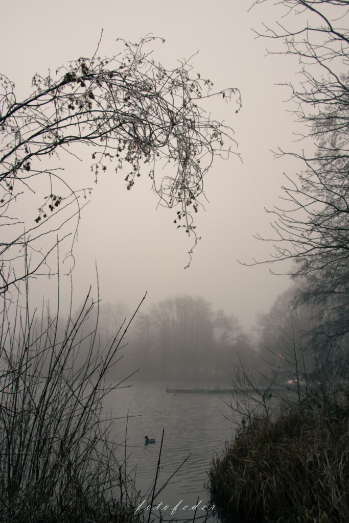 Rantzauer See Barmstedt